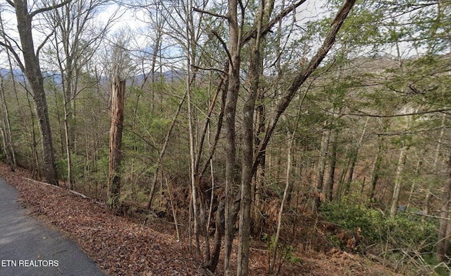 Listing photo 2 for Shady Grove Ln, Gatlinburg TN 37738