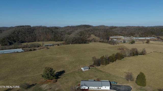 1830 Old Parrottsville Hwy, Parrottsville, TN 37843 - photo 4
