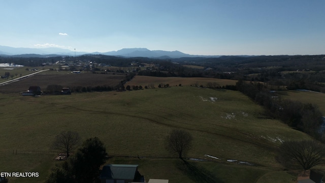 1830 Old Parrottsville Hwy, Parrottsville, TN 37843 - photo 6