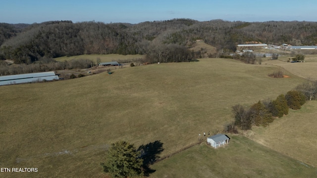1830 Old Parrottsville Hwy, Parrottsville, TN 37843 - photo 7