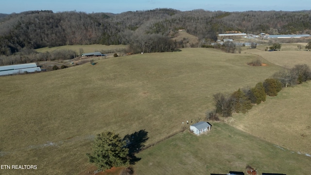1830 Old Parrottsville Hwy, Parrottsville, TN 37843 - photo 8