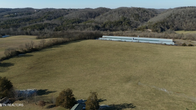 1830 Old Parrottsville Hwy, Parrottsville, TN 37843 - photo 9