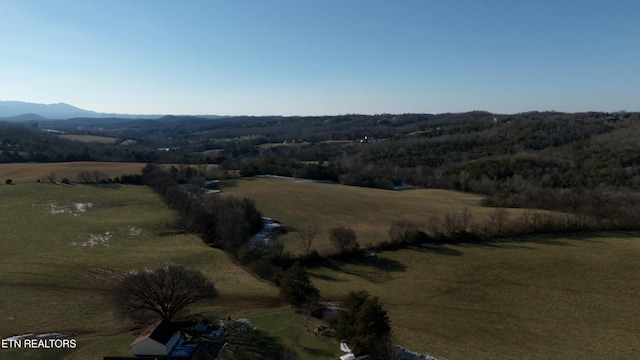 1830 Old Parrottsville Hwy, Parrottsville, TN 37843 - photo 10