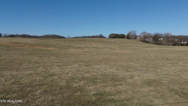 1830 Old Parrottsville Hwy, Parrottsville, TN 37843 - photo 12