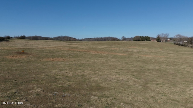 1830 Old Parrottsville Hwy, Parrottsville, TN 37843 - photo 13