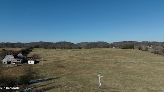 1830 Old Parrottsville Hwy, Parrottsville, TN 37843 - photo 15