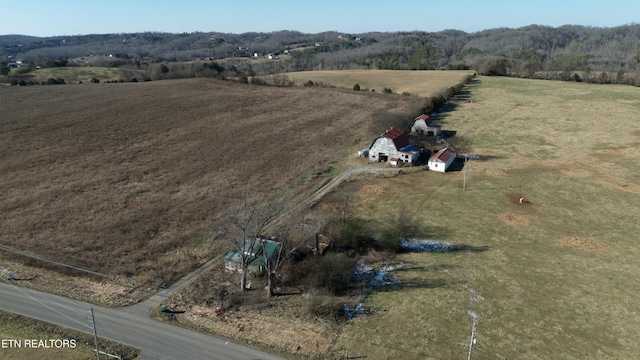 1830 Old Parrottsville Hwy, Parrottsville, TN 37843 - photo 16