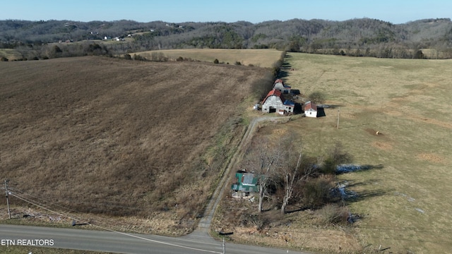 1830 Old Parrottsville Hwy, Parrottsville, TN 37843 - photo 17