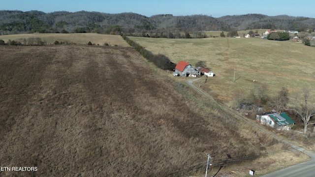 1830 Old Parrottsville Hwy, Parrottsville, TN 37843 - photo 19
