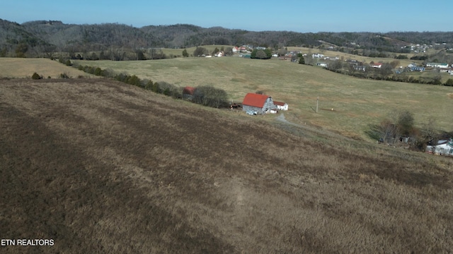 1830 Old Parrottsville Hwy, Parrottsville, TN 37843 - photo 22