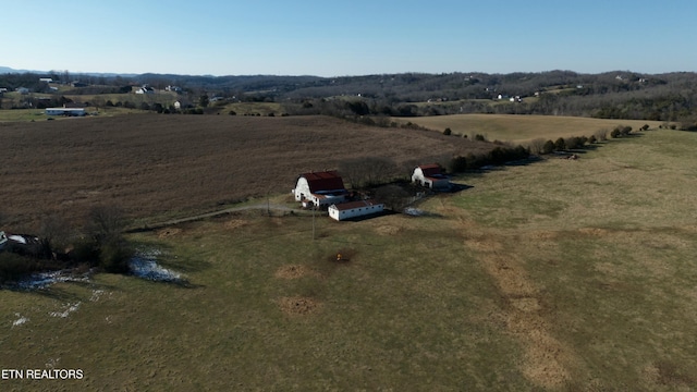 1830 Old Parrottsville Hwy, Parrottsville, TN 37843 - photo 35