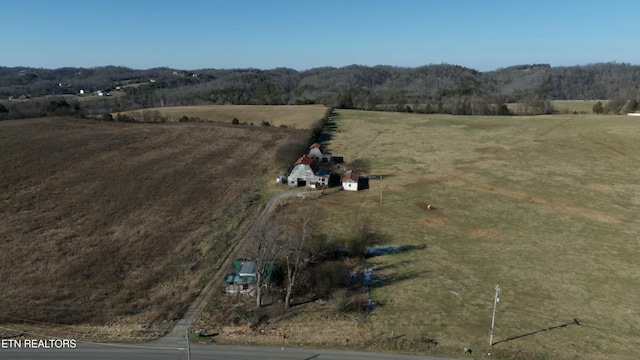 1830 Old Parrottsville Hwy, Parrottsville, TN 37843 - photo 37