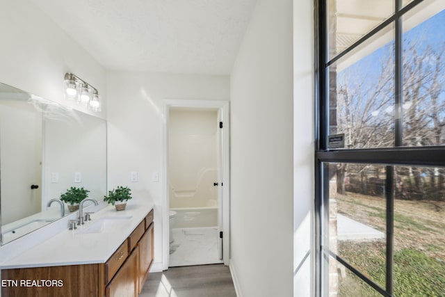 bathroom featuring vanity, hardwood / wood-style floors, and toilet