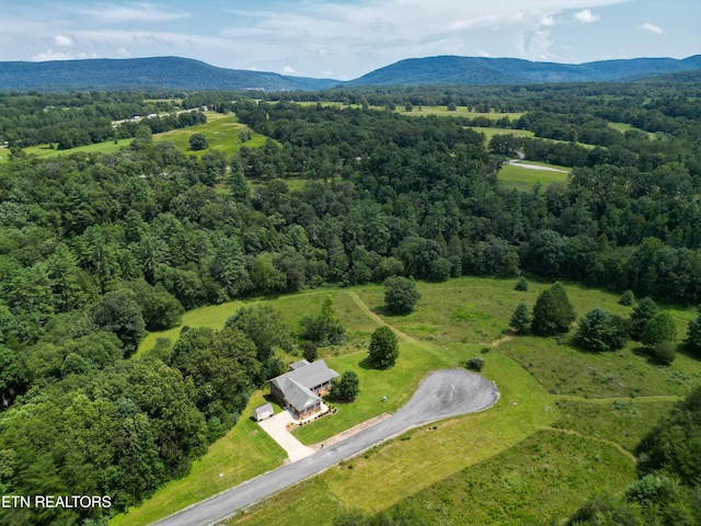 birds eye view of property with a mountain view