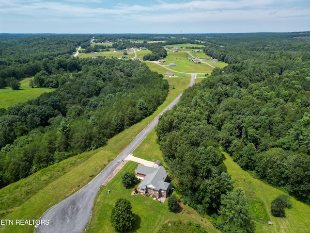 aerial view