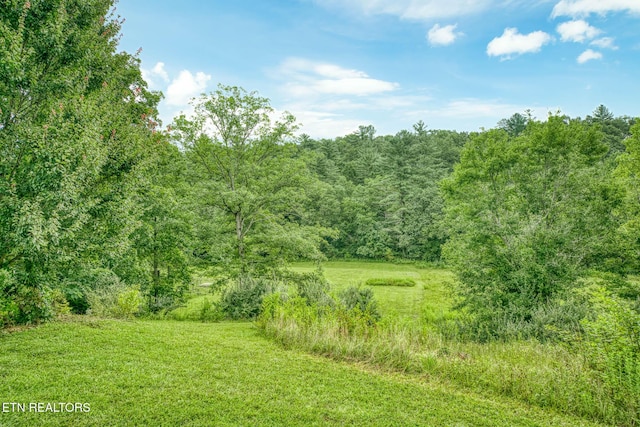 view of landscape