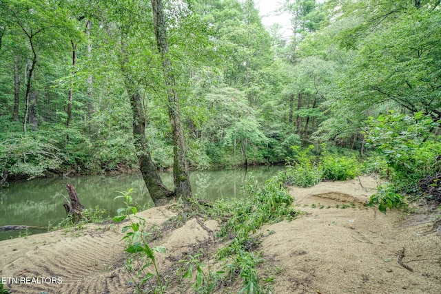 view of local wilderness featuring a water view