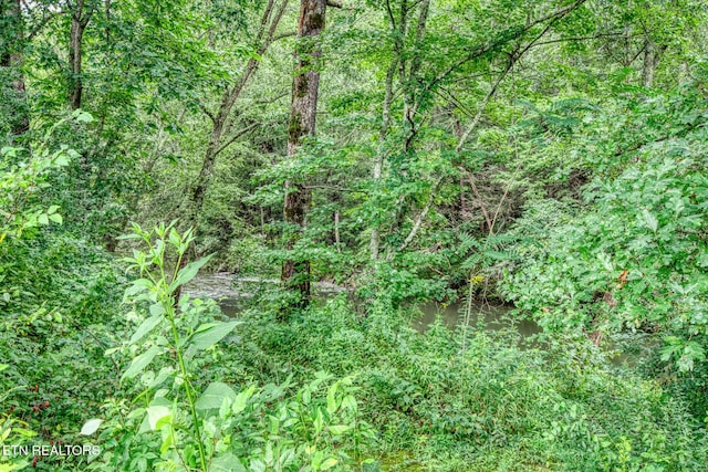 view of local wilderness featuring a water view