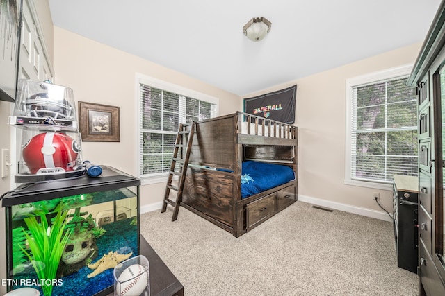 carpeted bedroom with multiple windows