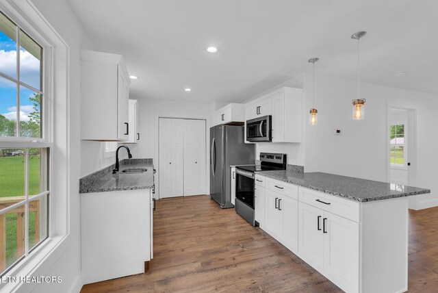 kitchen featuring appliances with stainless steel finishes, a sink, plenty of natural light, and recessed lighting