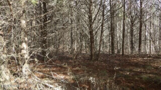 Listing photo 3 for LOT185 Meadow Ln, Spencer TN 38585