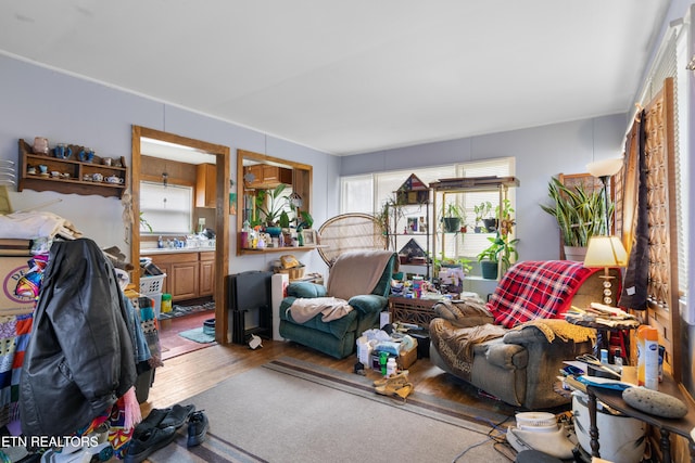 living room featuring hardwood / wood-style flooring