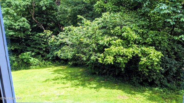 236 Highland Ave, Oak Ridge, TN 37830 - view of green lawn with a view of trees