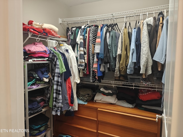 view of spacious closet