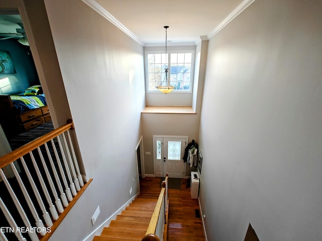 staircase with hardwood / wood-style flooring, crown molding, and ceiling fan with notable chandelier