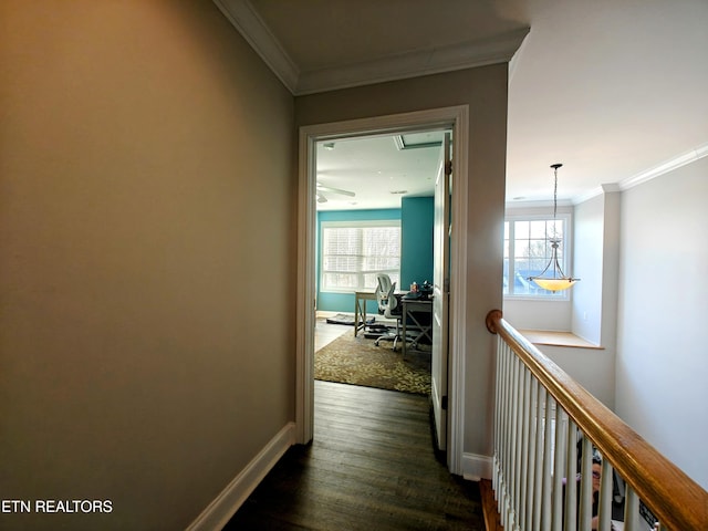 hall with ornamental molding and dark hardwood / wood-style floors