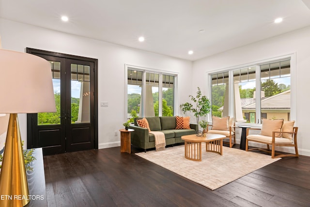 1521 Cherokee Blvd, Knoxville, TN 37919 - living room with dark wood-style floors, baseboards, recessed lighting, and french doors