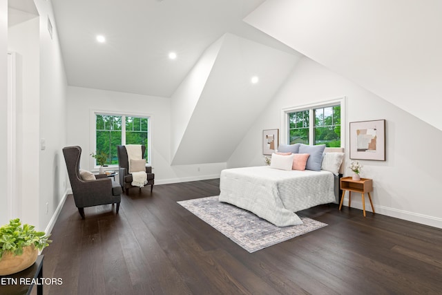 1521 Cherokee Blvd, Knoxville, TN 37919 - bedroom featuring dark wood finished floors, multiple windows, lofted ceiling, baseboards, and recessed lighting