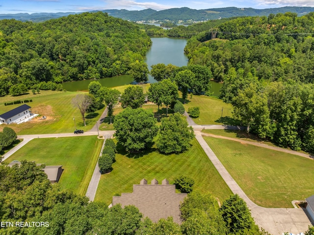 bird's eye view featuring a water and mountain view