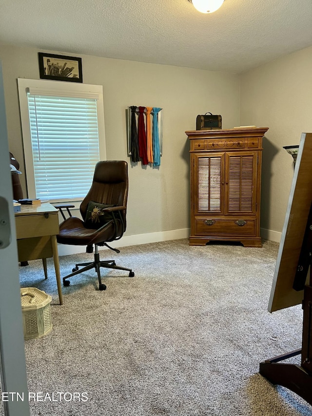 home office featuring a textured ceiling and light colored carpet