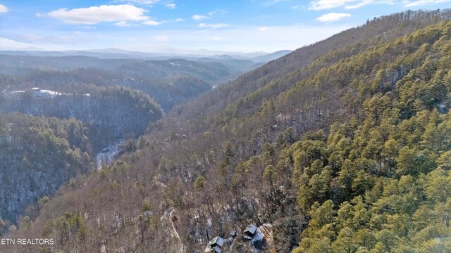 Lumber Jack Way, Sevierville, TN 37876