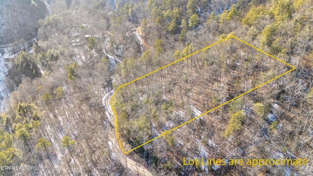 Lumber Jack Way, Sevierville, TN 37876