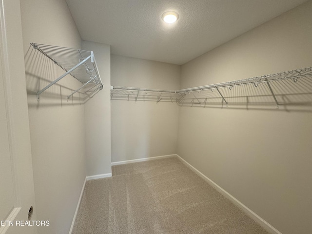 3515 Crimson Cir, Maryville, TN 37801 - photo 12