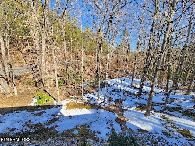 view of snowy yard