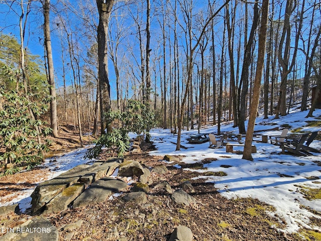 view of yard layered in snow