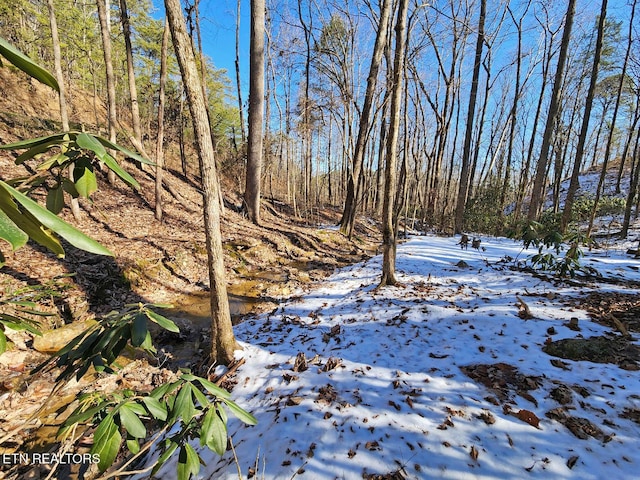 view of yard layered in snow