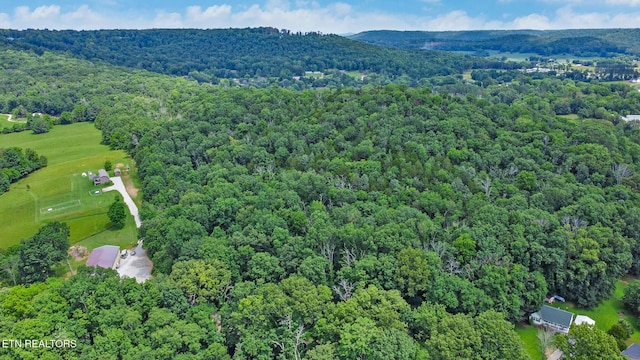 1644 Walker Cove Rd, Sparta, TN 38583 - photo 3