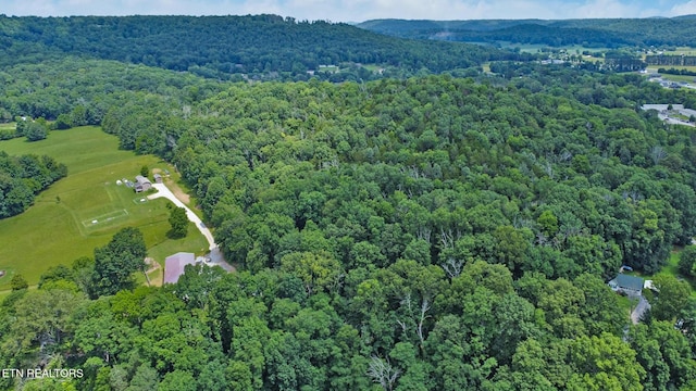 1644 Walker Cove Rd, Sparta, TN 38583 - photo 4