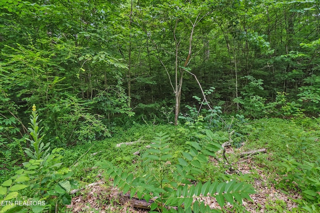 1644 Walker Cove Rd, Sparta, TN 38583 - photo 10