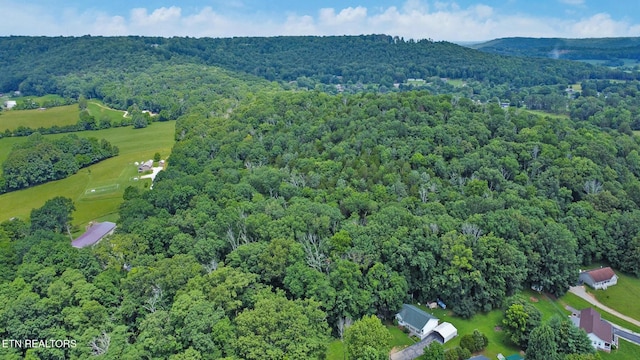 1644 Walker Cove Rd, Sparta, TN 38583 - photo 29