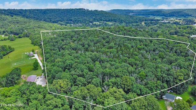 1644 Walker Cove Rd, Sparta, TN 38583 - photo 1