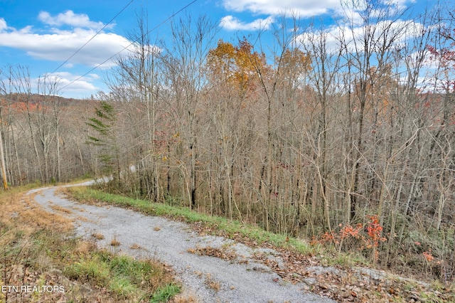 Listing photo 3 for 0 Homestead Ln, Crawford TN 38554