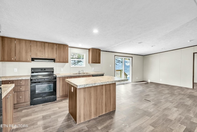 kitchen featuring black / electric stove, light hardwood / wood-style flooring, sink, and a center island