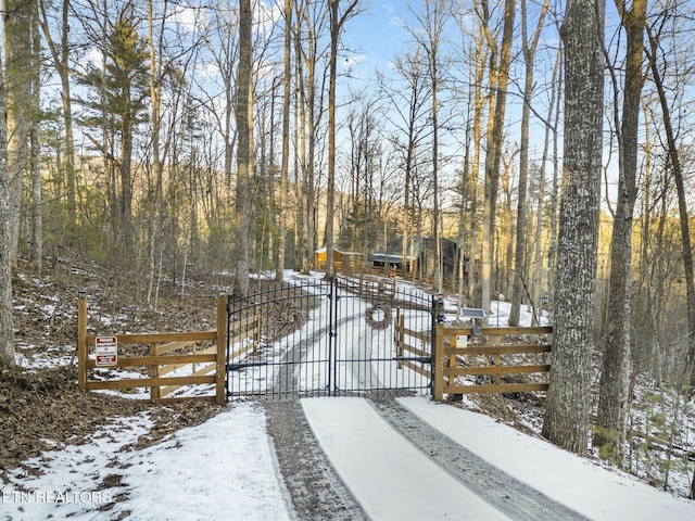 view of snow covered gate