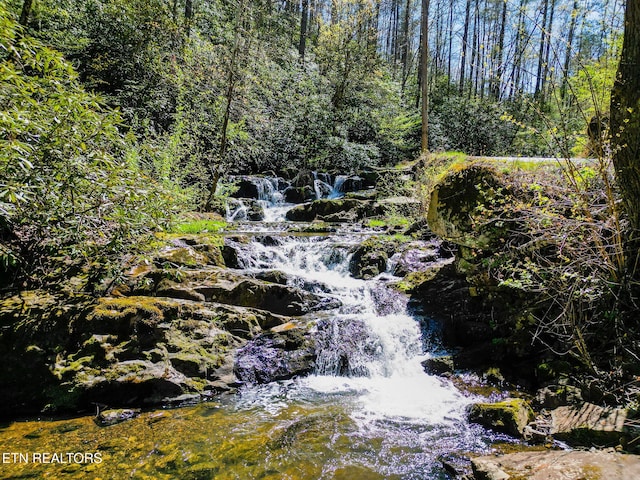 view of local wilderness