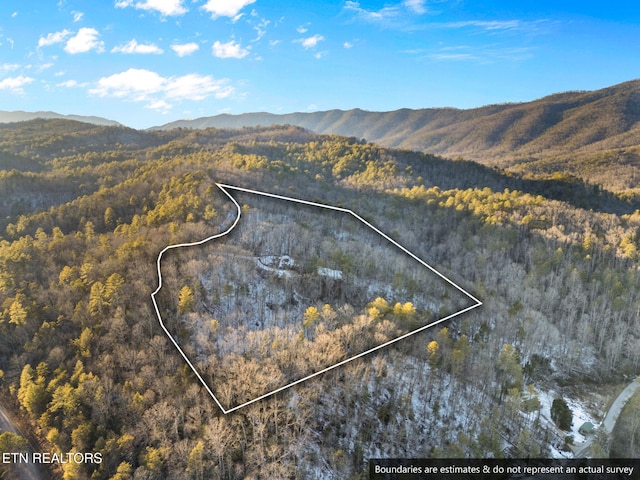 birds eye view of property with a mountain view